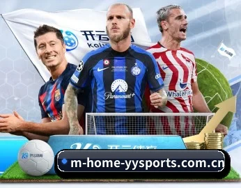 yy体育官方网站的故事(YYSports)